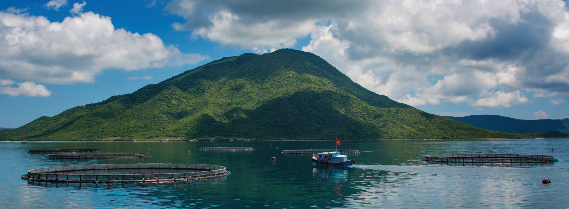 CAGE AQUACULTURE IN VIETNAM