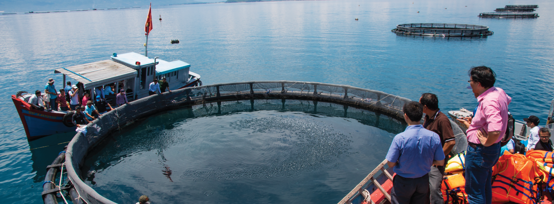 CAGE AQUACULTURE IN VIETNAM